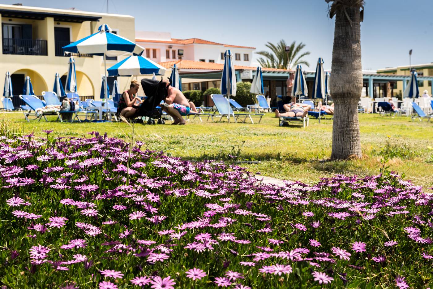 Kefalos-Beach-Tourist-Village-General-view-16