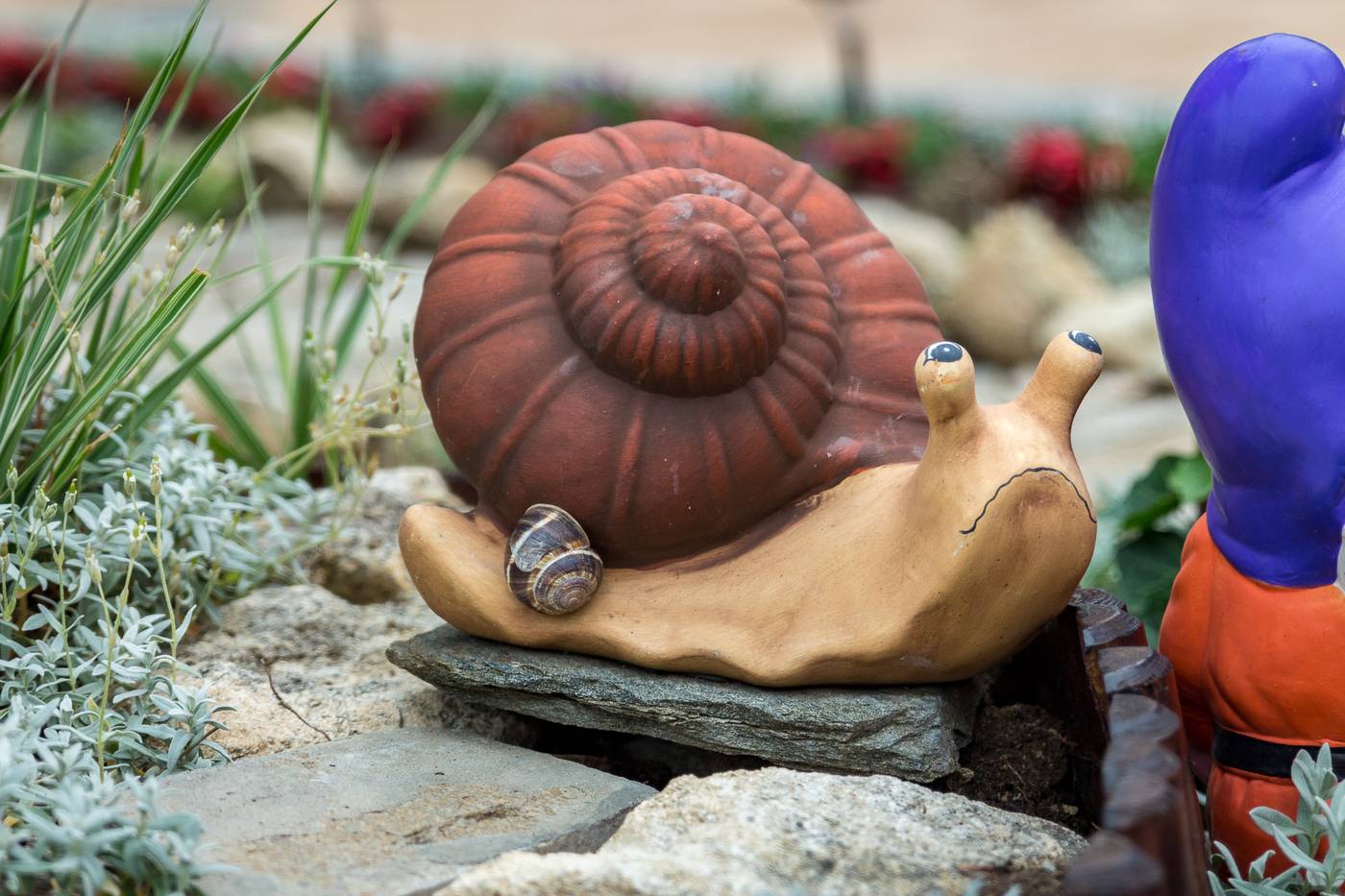 Family Hotel Venera-Bulgaria-ST. VLAS-General view-6