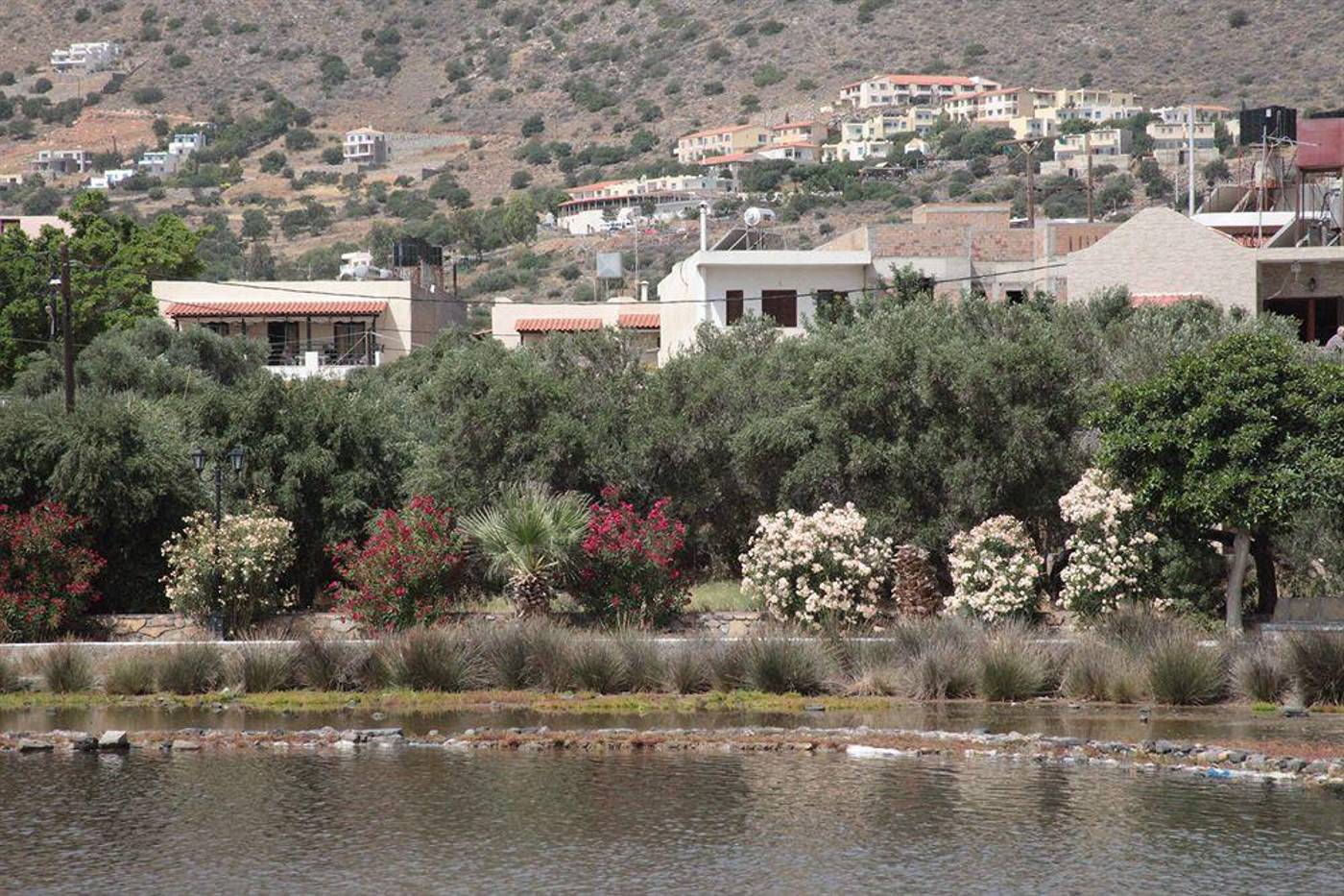 Elounda-Olive-Garden-Studios-General-view-1