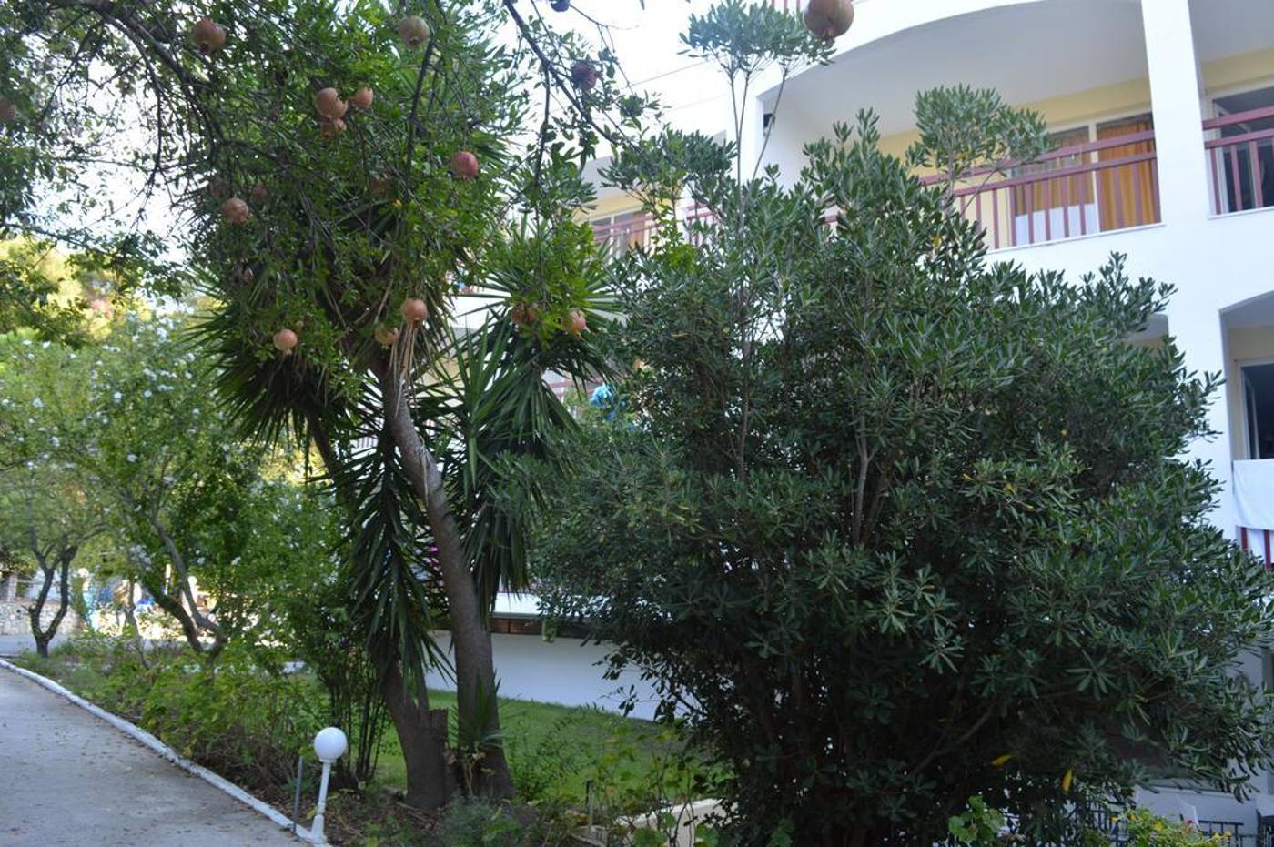 Lalaria-General-view-9