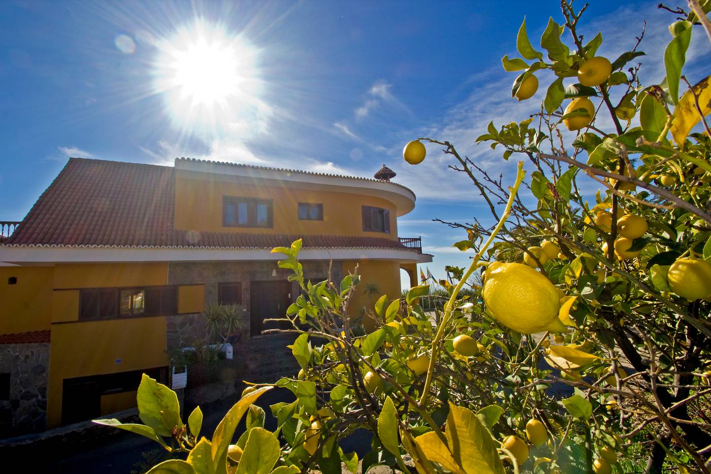 Alta-Monta----a-General-view-10