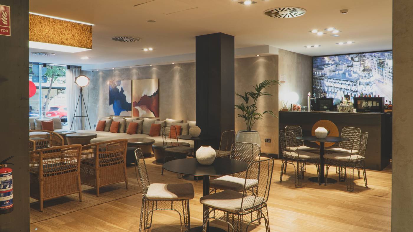 Zenit-Abeba-General-view-2