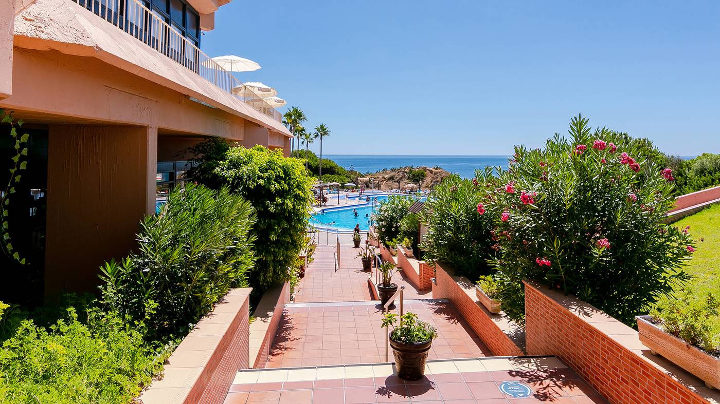 Auramar-Beach-Resort-Pool-12