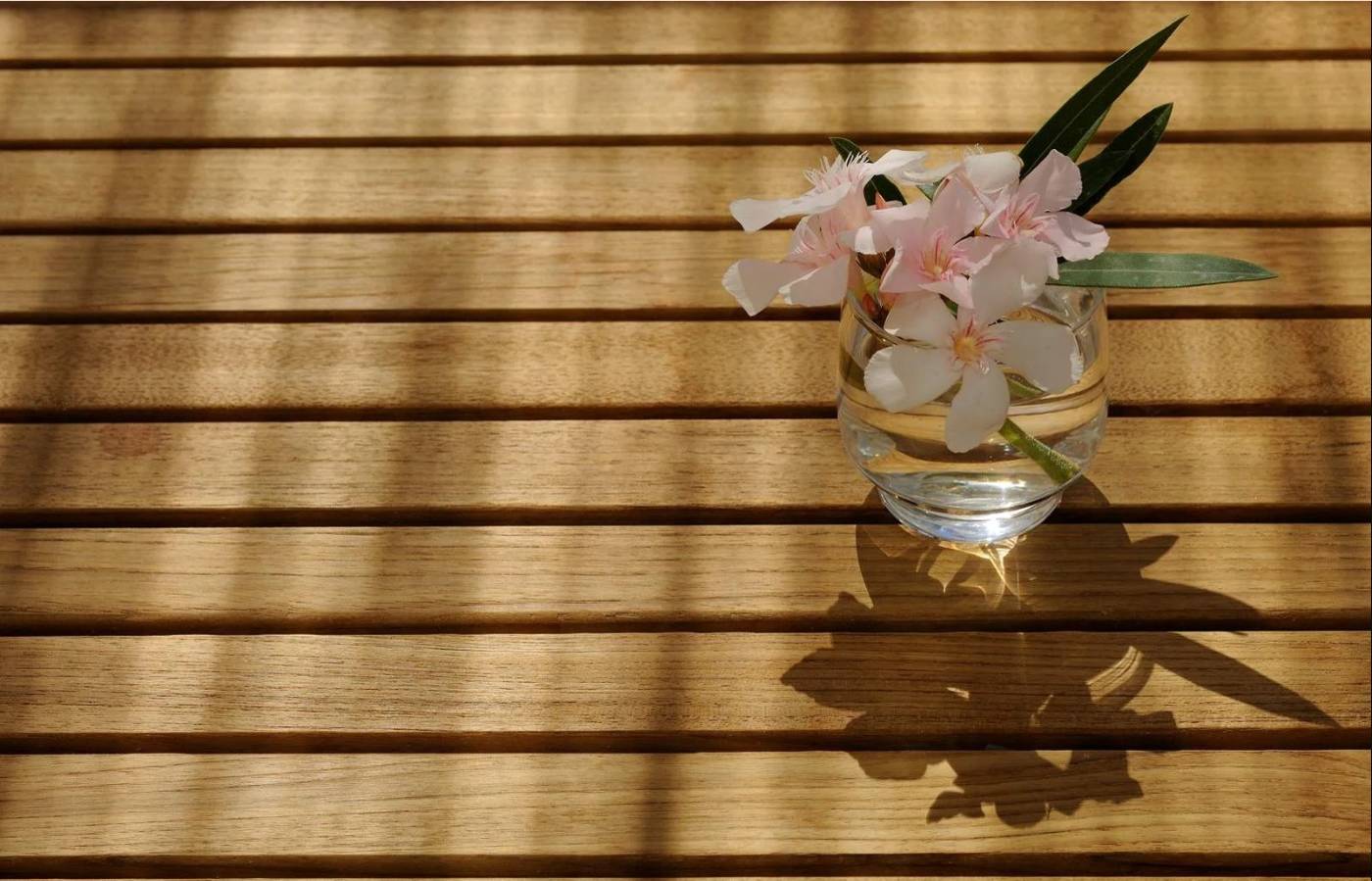 Hotel-Osejava-Terrace-23