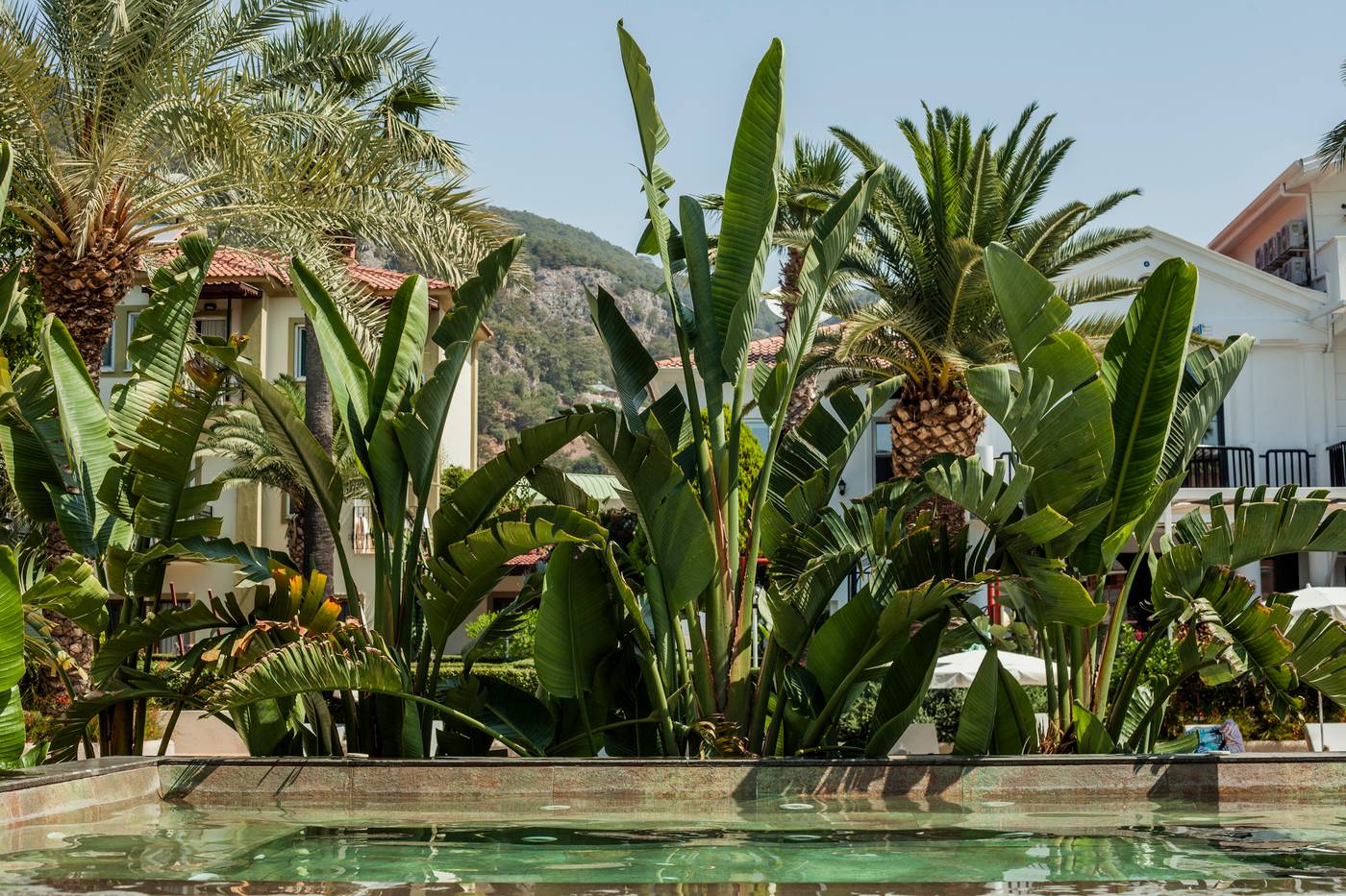 Hotel-Karbel-Sun-Pool-8