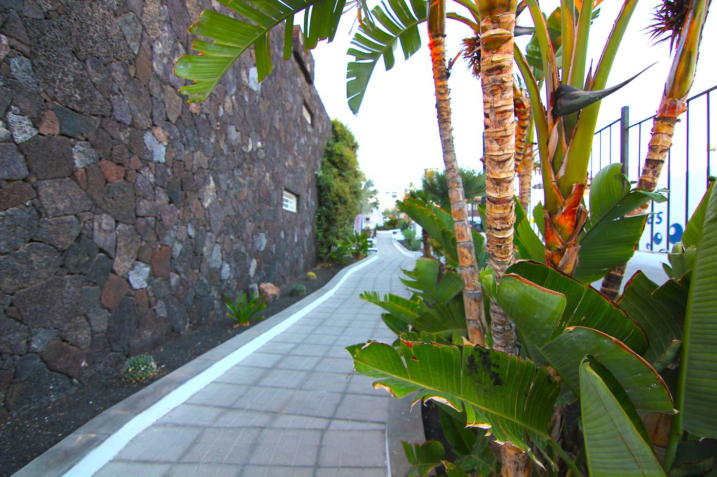 Arena-Dorada-General-view-10