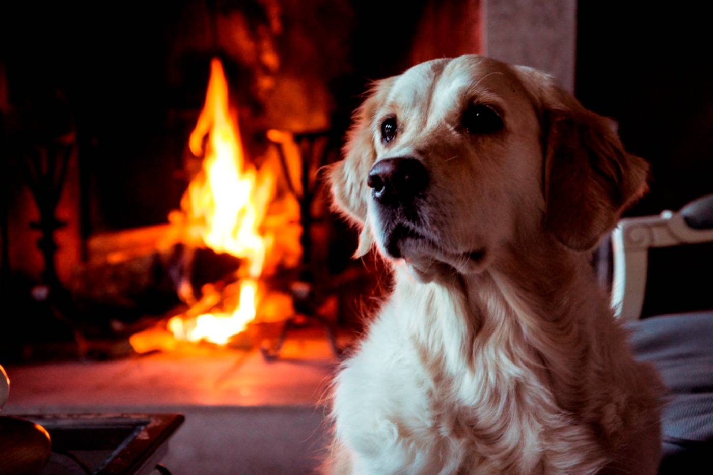 Tenuta La Cascinetta - Italy - BURIASCO - General view - 2
