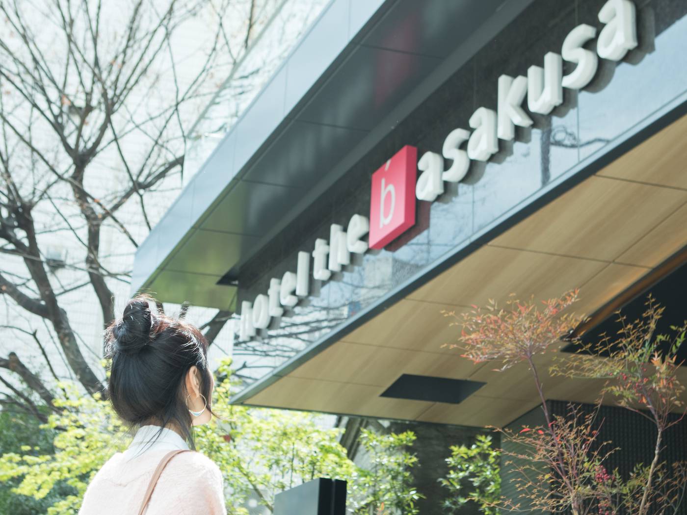 the b asakusa-Japan-Tokyo-General view-4