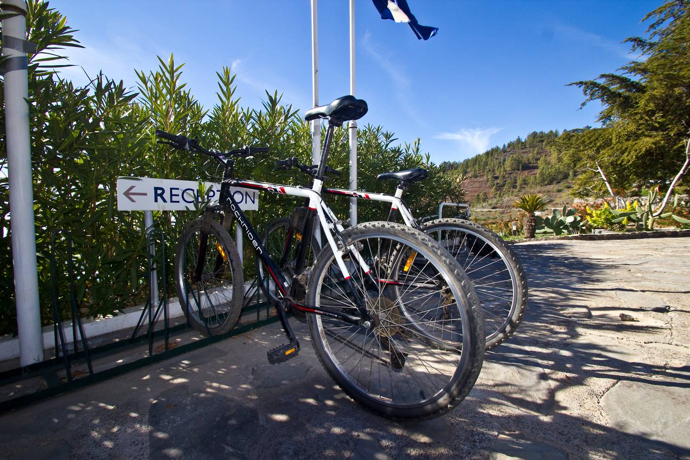 Alta-Monta----a-Sports-and-Entertainment-14