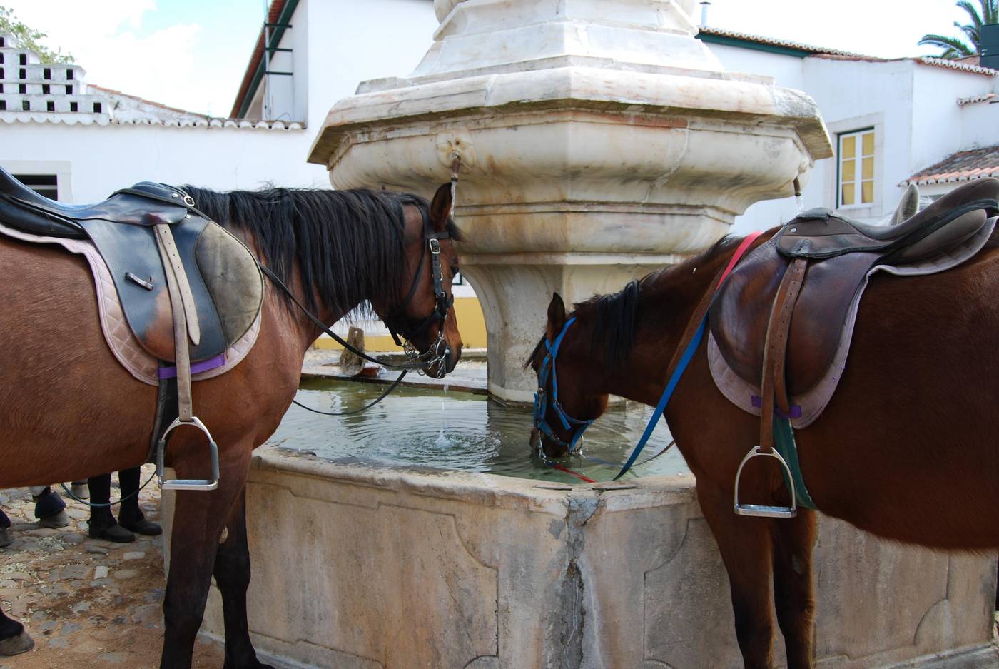 Rural-Quinta-de-Santo-Antonio-Sports-and-Entertainment-13