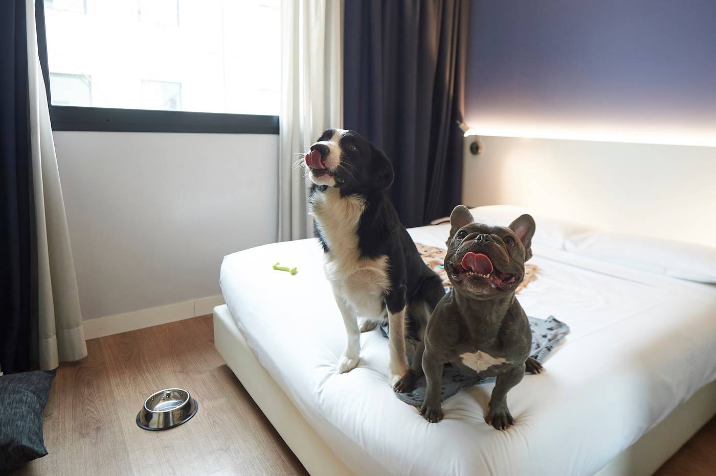 Neo-Hotel-General-view-38