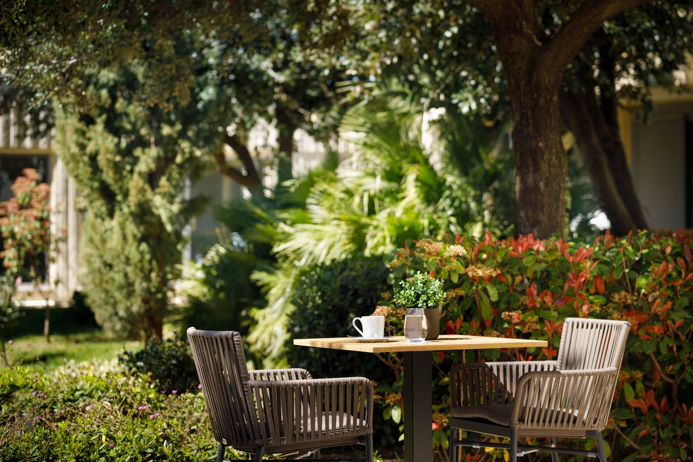 Valamar-Argosy-Hotel-Dubrovnik-Bar-9