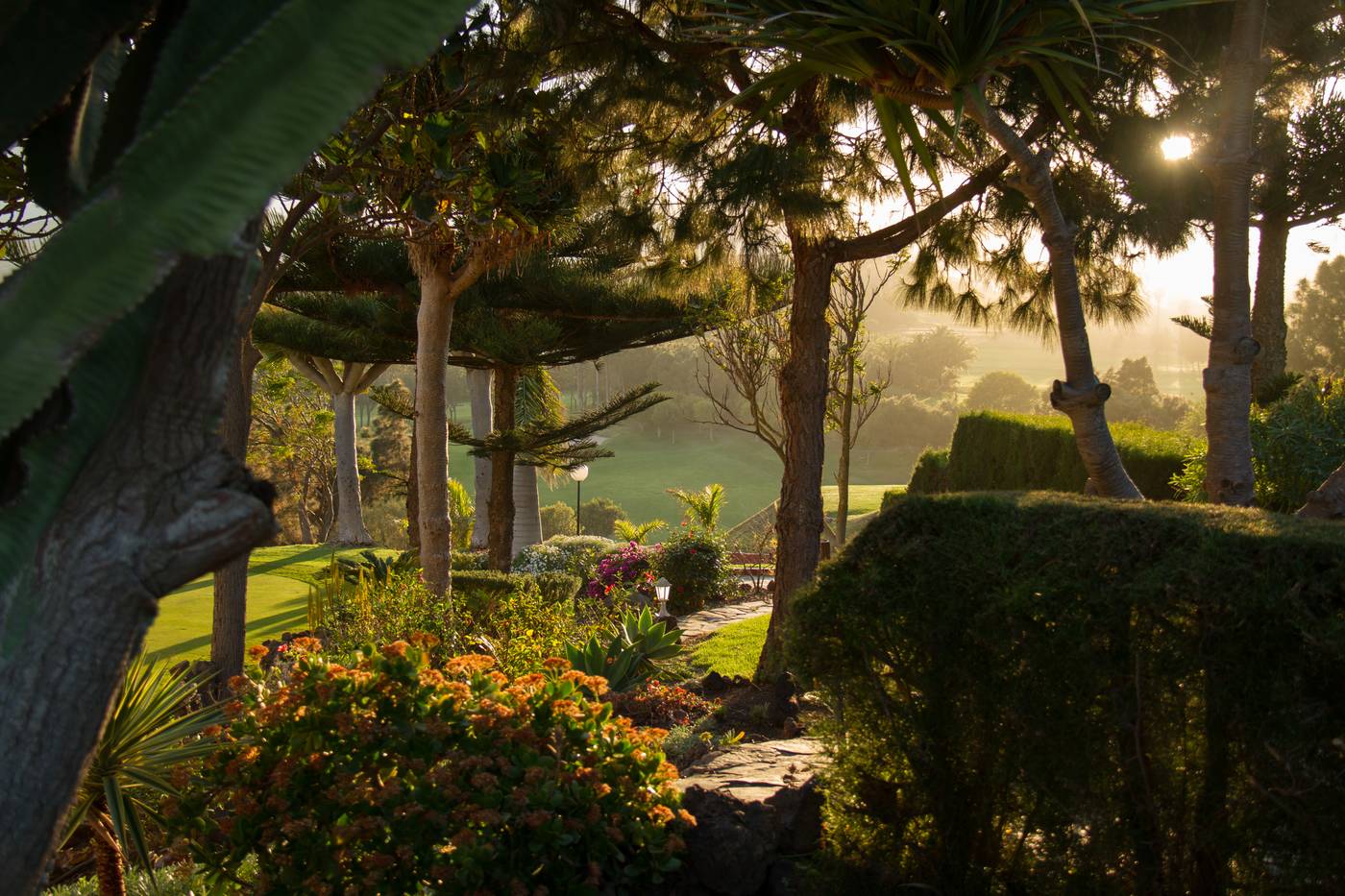 Bandama-Golf-Hotel-Terrace-10