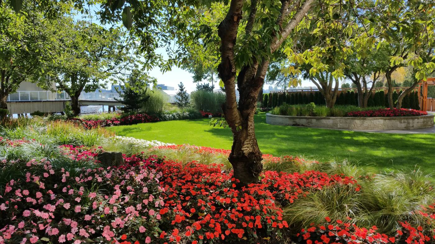 Radisson-Blu-Vancouver-Airport-General-view-50