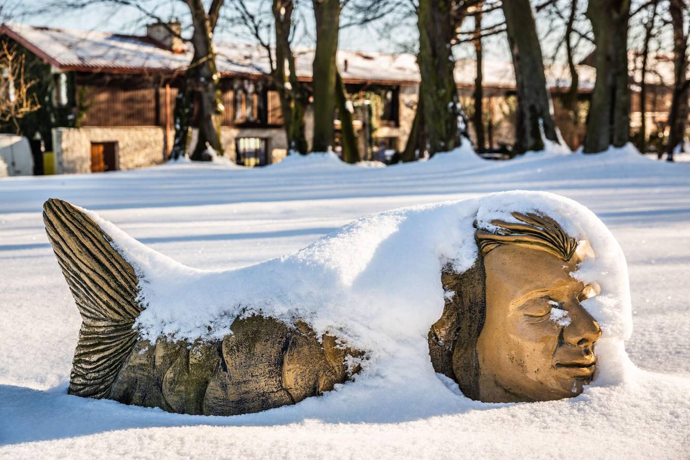 Dwor-w-Tomaszowicach-General-view-68