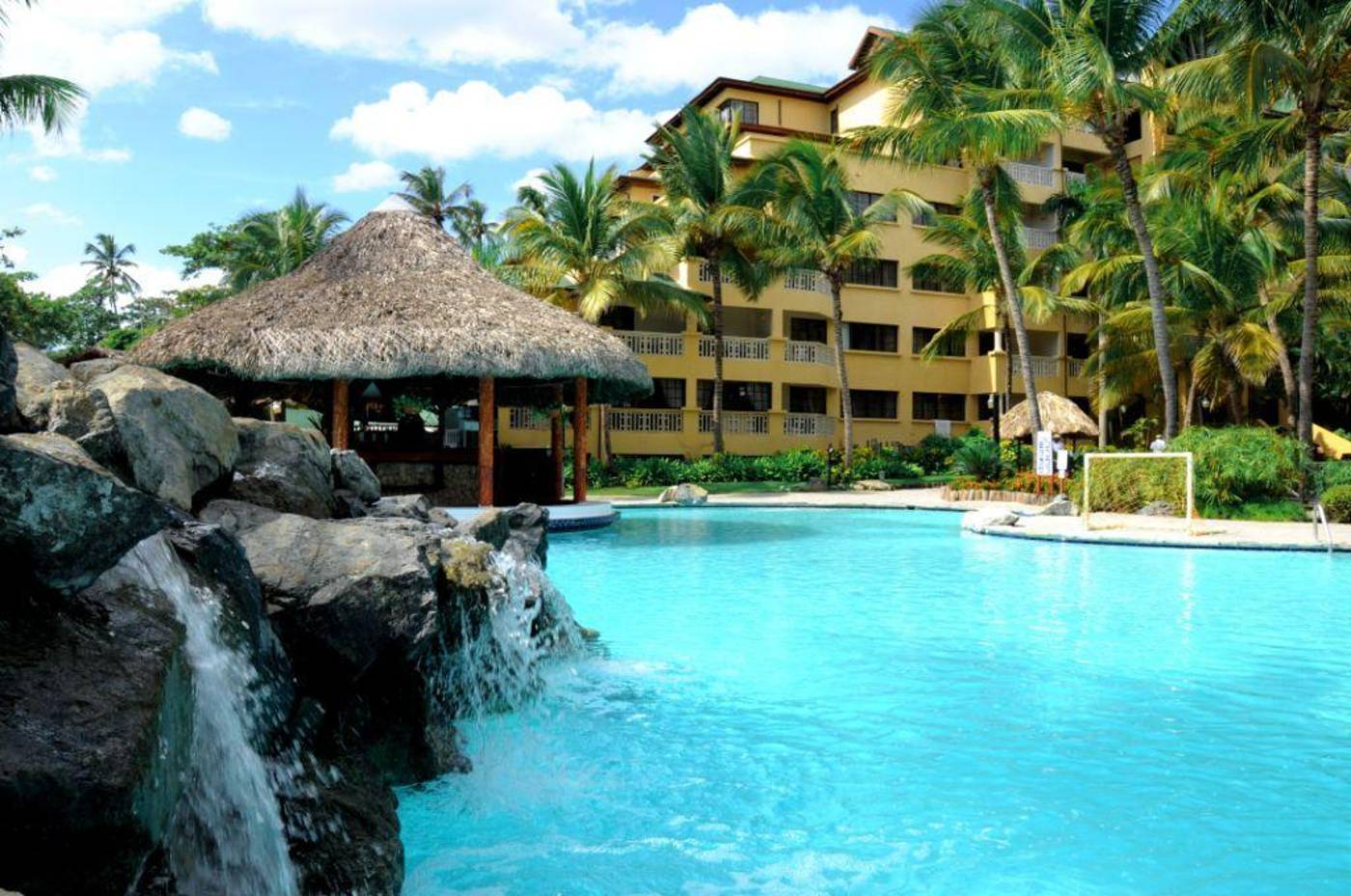 Coral Costa Caribe