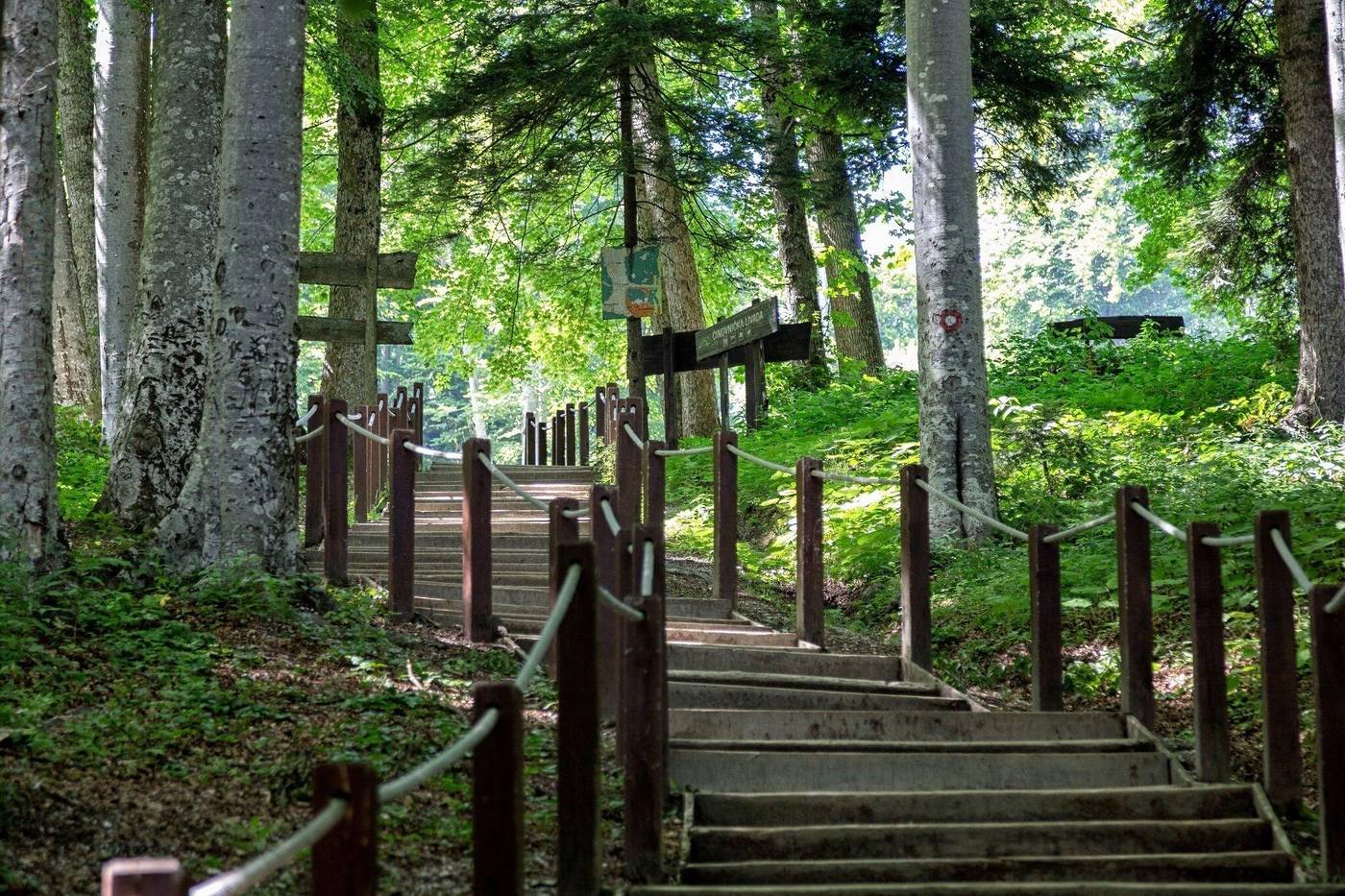 Hotel Tomislavov Dom-Croatia-SLJEME-General view-2