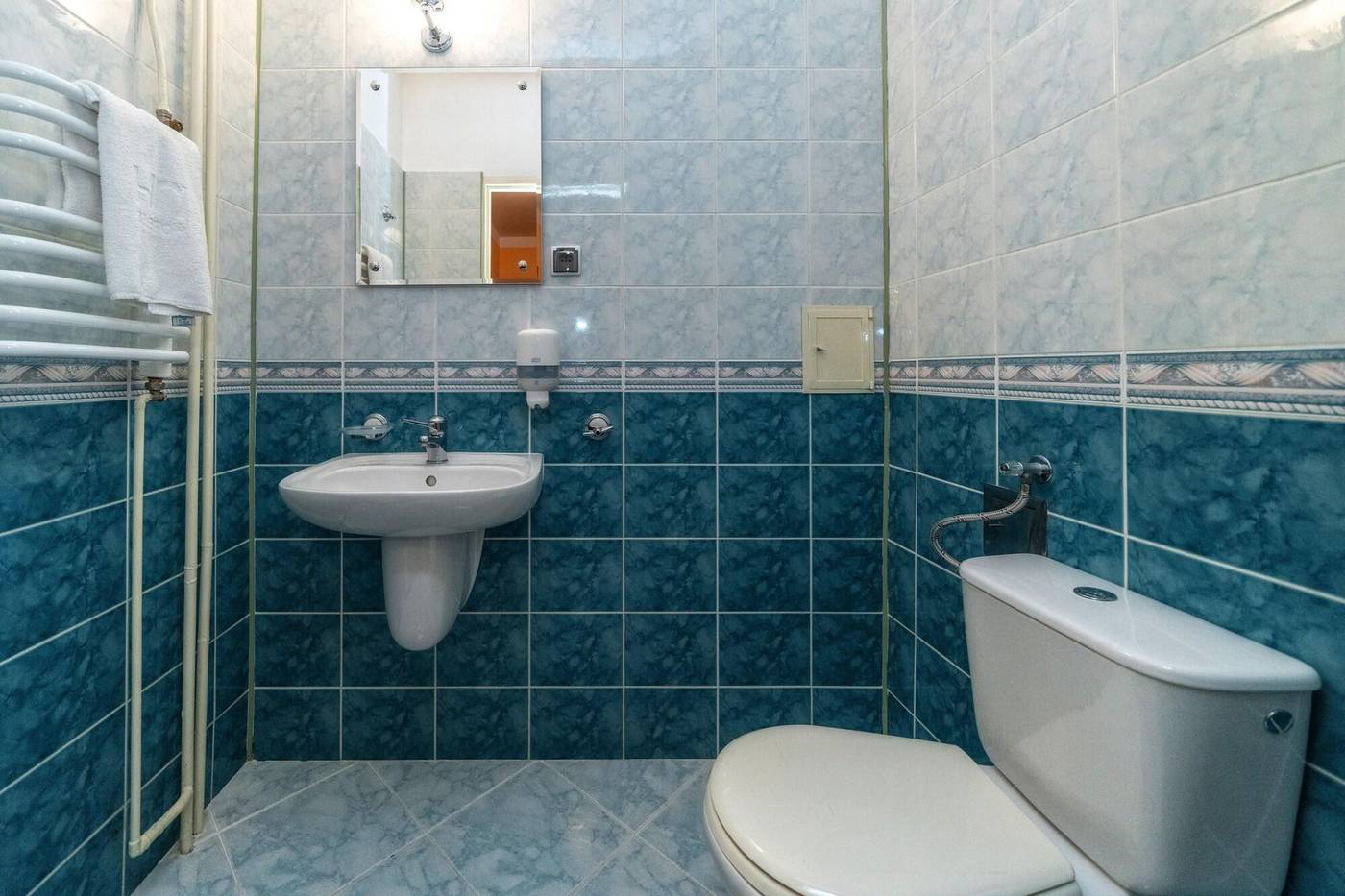 Pensjonat Telimena - POLSKIE TATRY S.A.-Poland-ZAKOPANE-Room-8