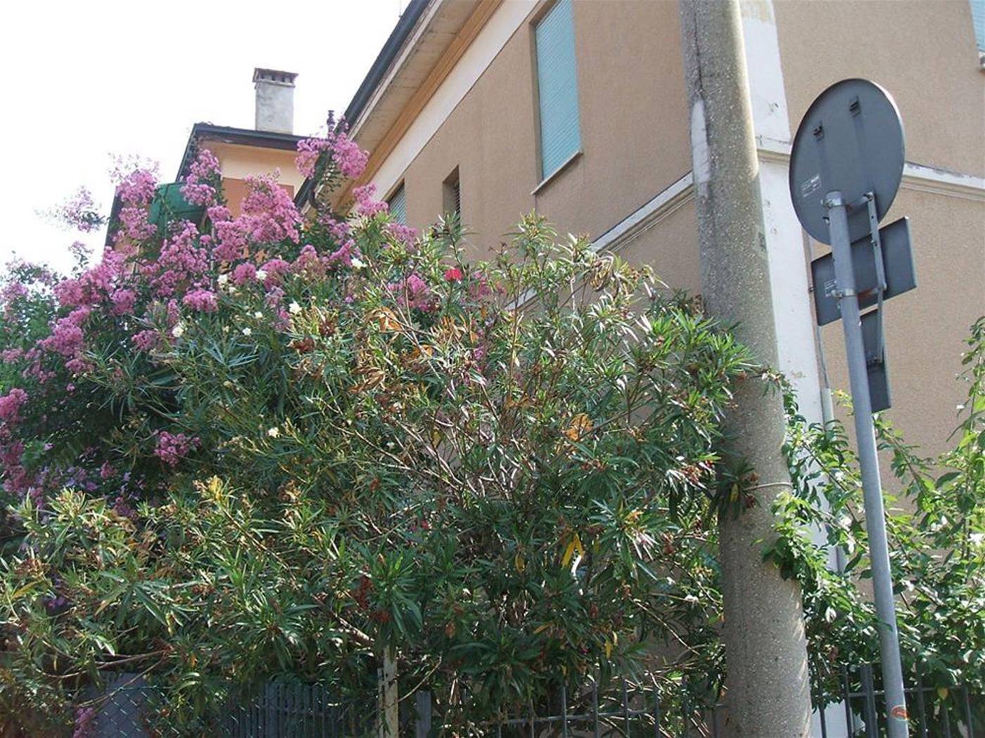 B&B Accorsi - Italy - BOLOGNA - General view - 2