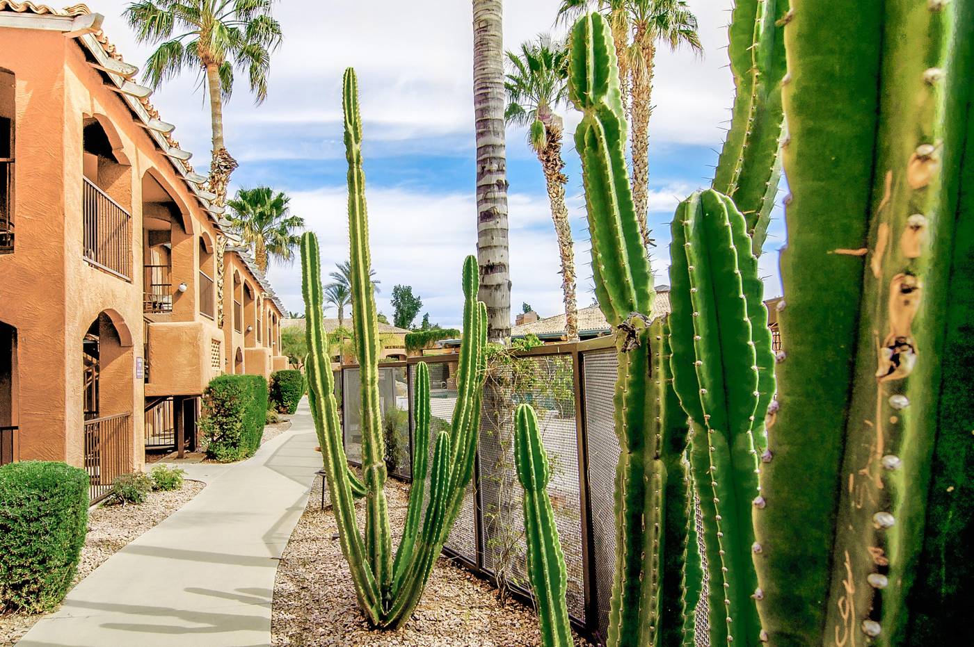 Holiday Inn Club Vacations Scottsdale Resort-United States-SCOTTSDALE-General view-4
