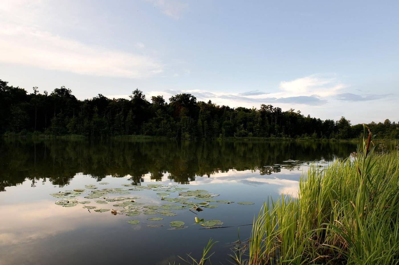 Landgut-Stober-Sports-and-Entertainment-36