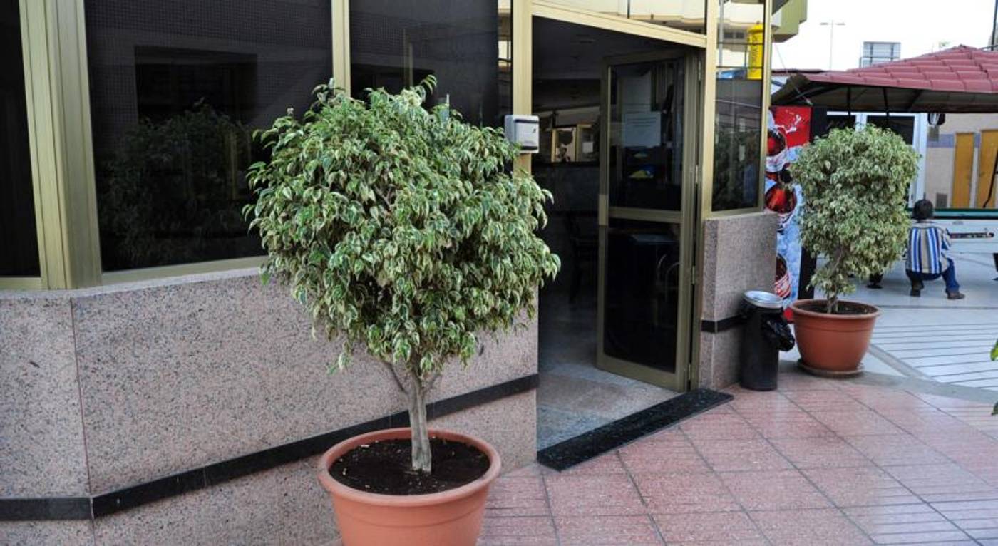 Roque-Nublo-Lobby-11