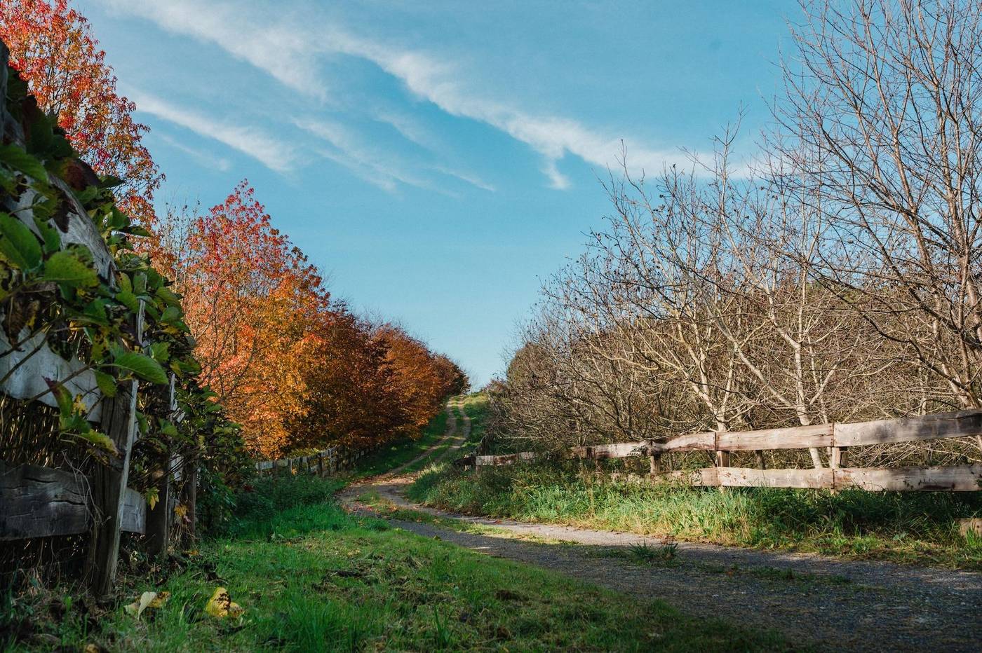 Posada Somavilla-Spain-RIBAMONTAN AL MAR-General view-9