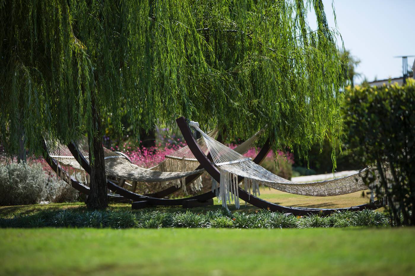 TUI-Blue-Xanthe-General-view-25