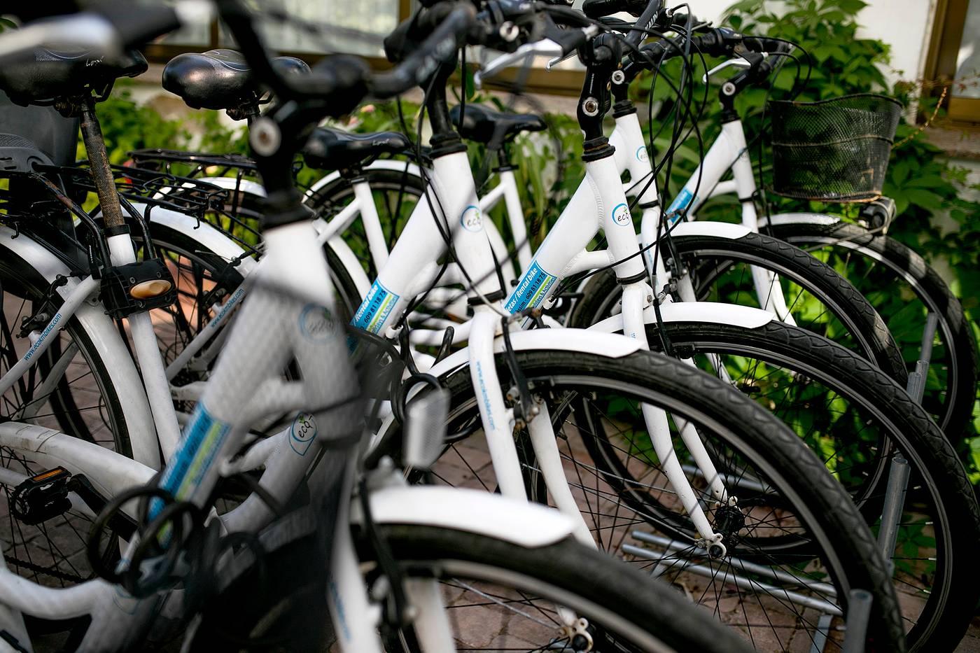 Bersoca-Sports-and-Entertainment-19