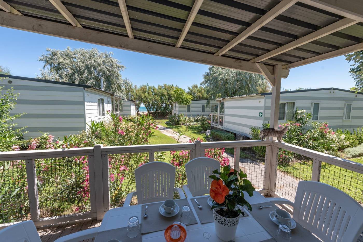 Club-del-Sole-Stork-Family-Collection-Room-66