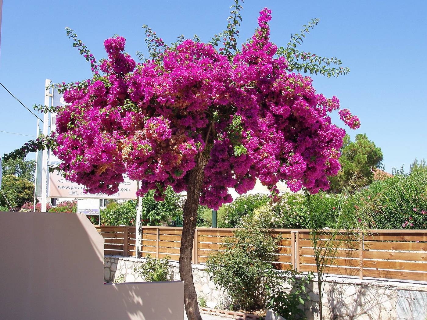 Paradise-Apartments-And-Studios-Room-14