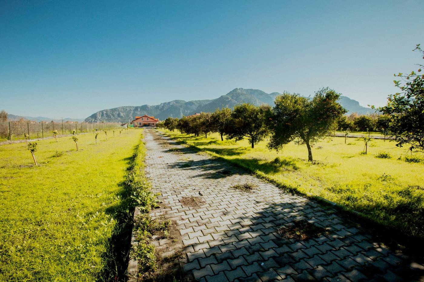 Villa Ozalp Apartments