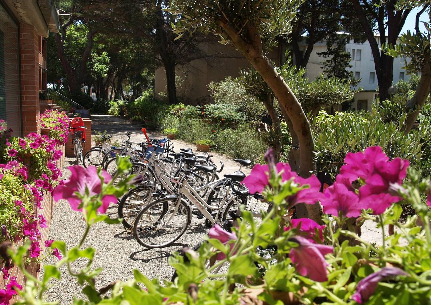 Ricci-Hotel-Sports-and-Entertainment-35