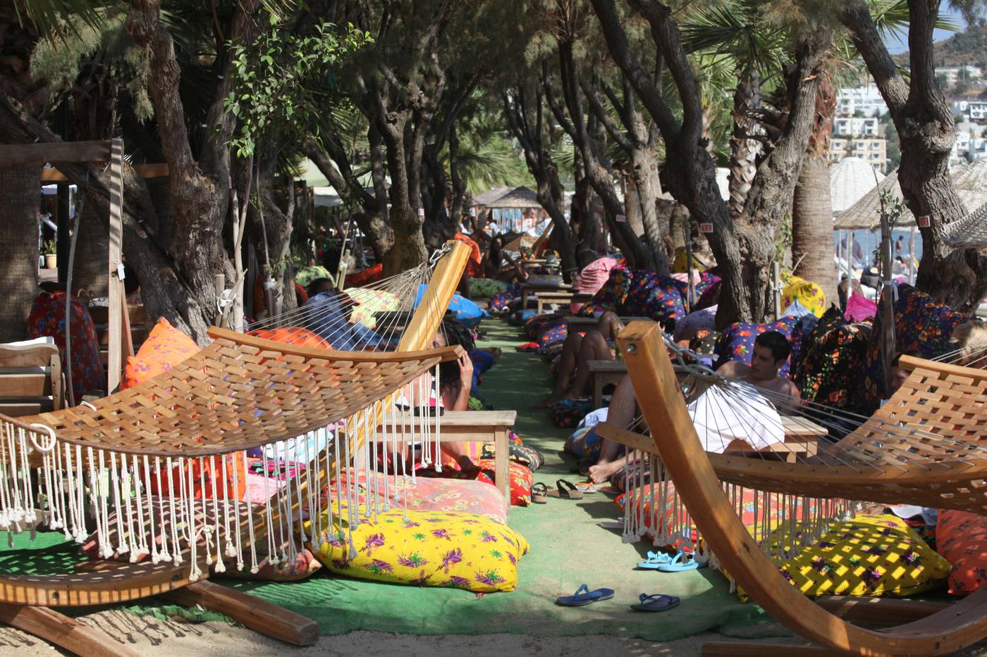 Okaliptus-Terrace-18