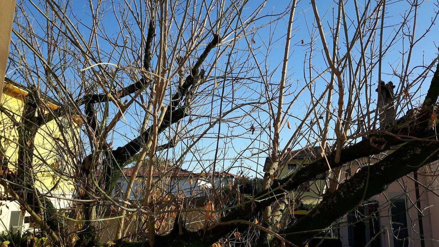 Albergo-Celide-Room-40