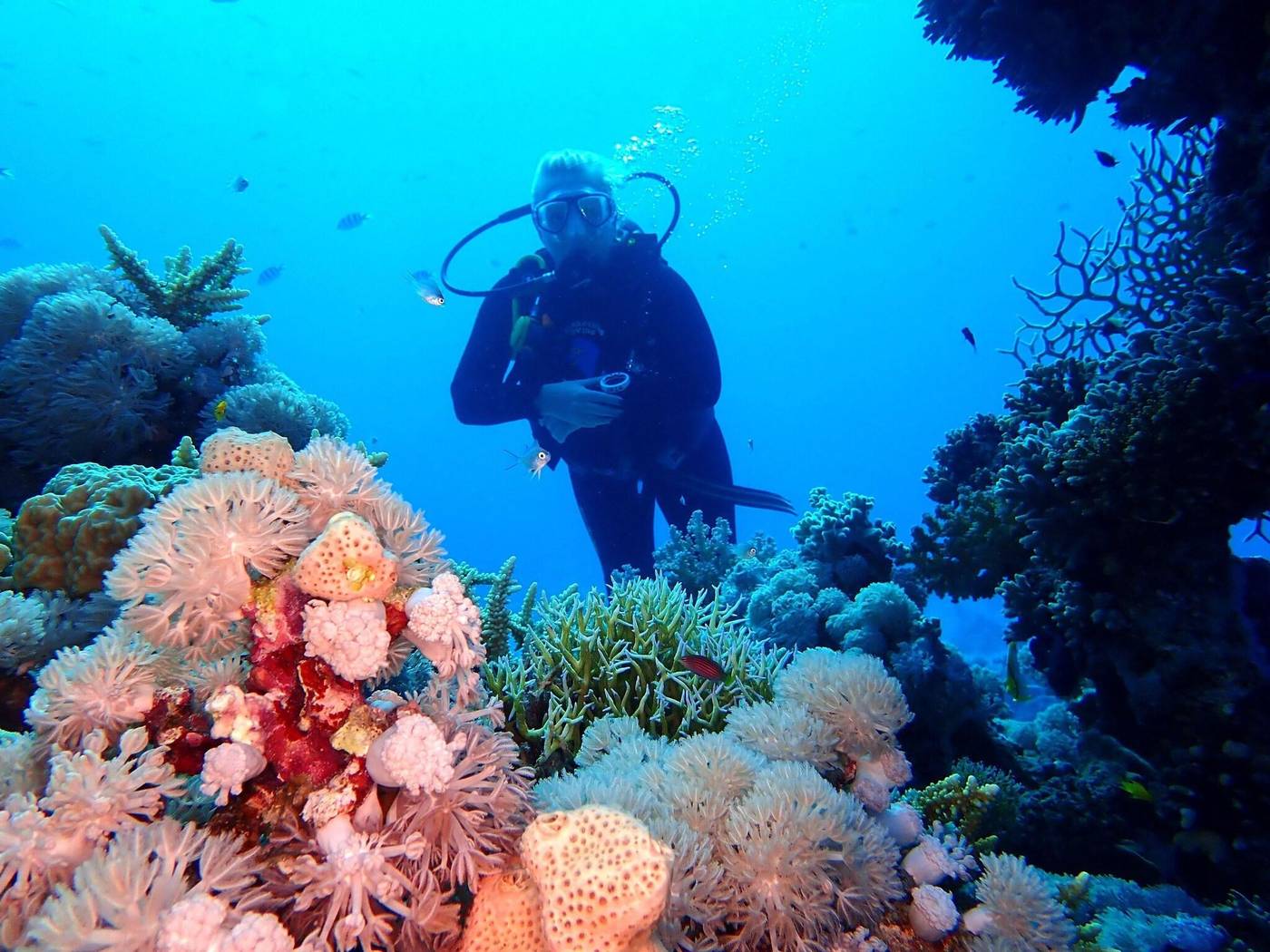 Steigenberger-Golf-Resort-El-Gouna-General-view-51