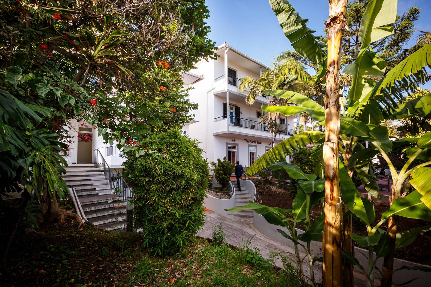 The-Flame-Tree-Madeira-General-view-5