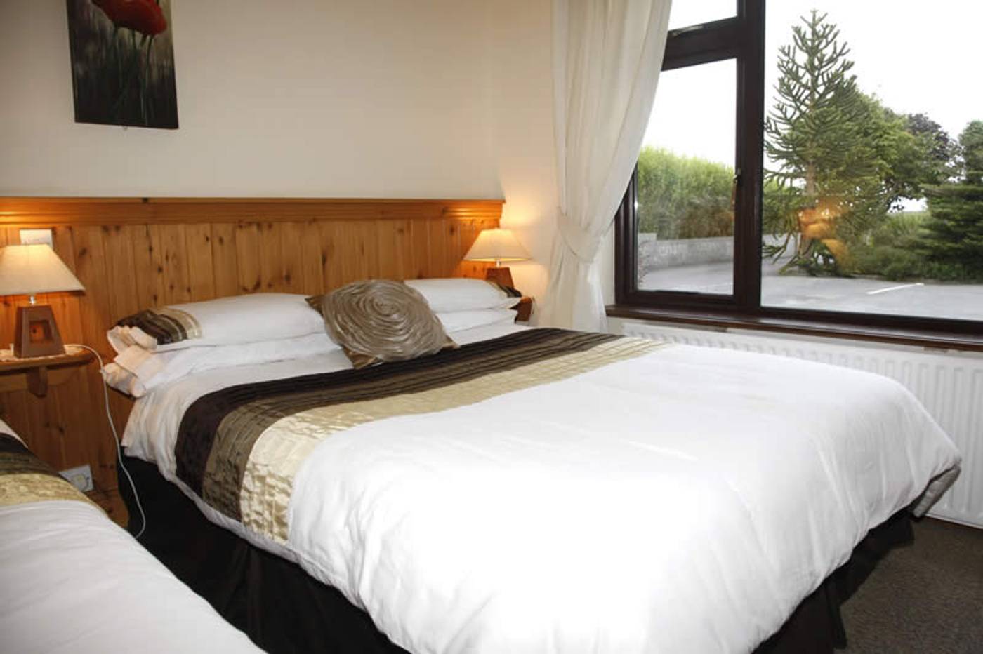 Torine House B&B-Ireland-Killorglin Ring of Kerry-General view-10