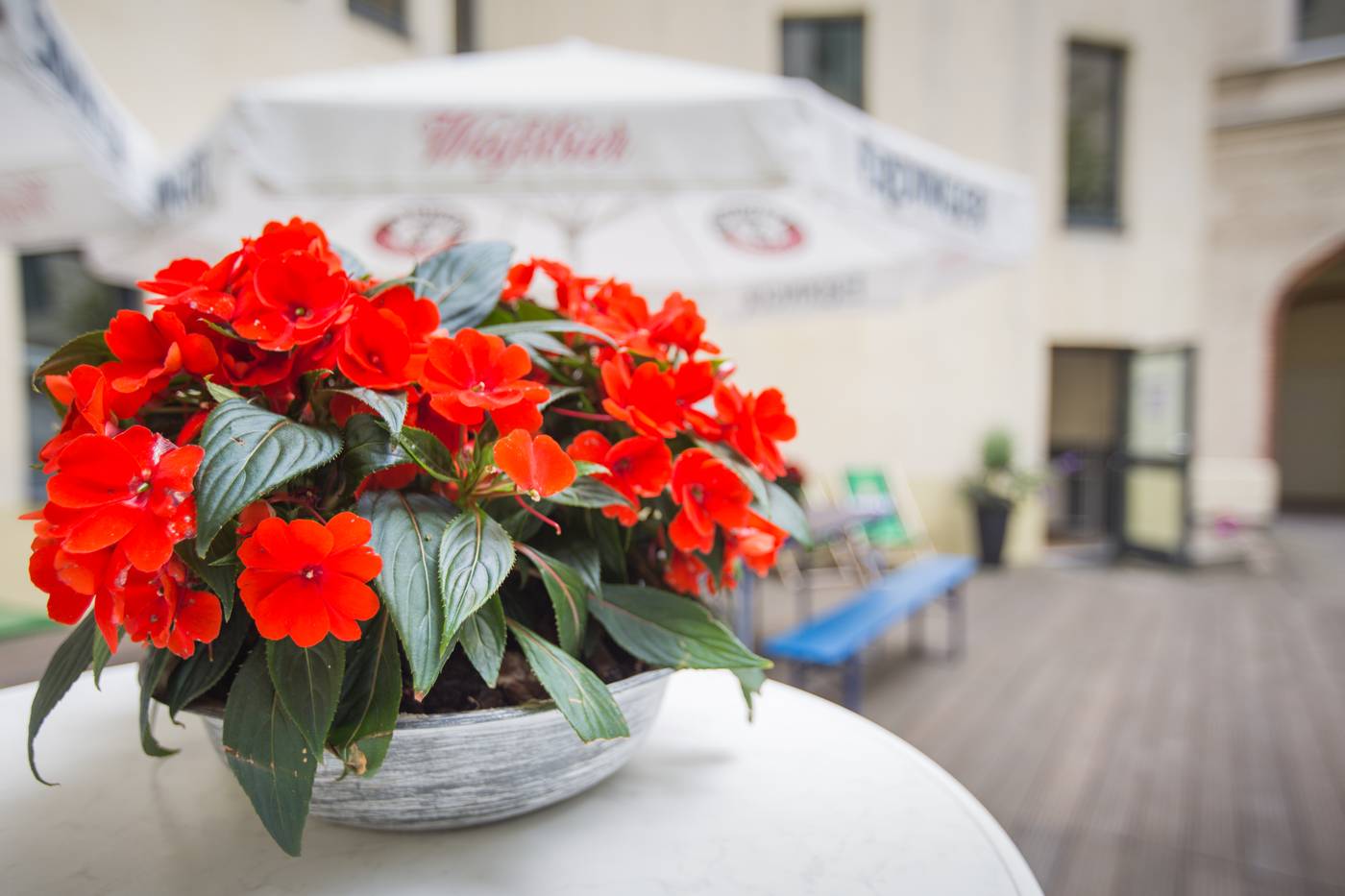 Acama-Kreuzberg-Hotel-Hostel-Terrace-11