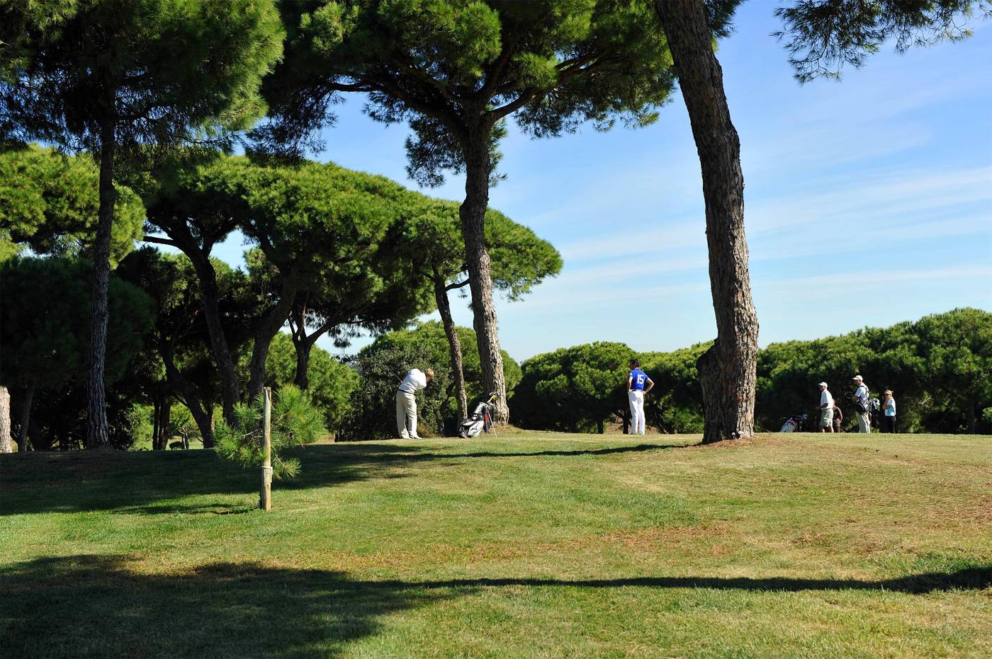 Barcelo-Isla-Canela-Sports-and-Entertainment-12