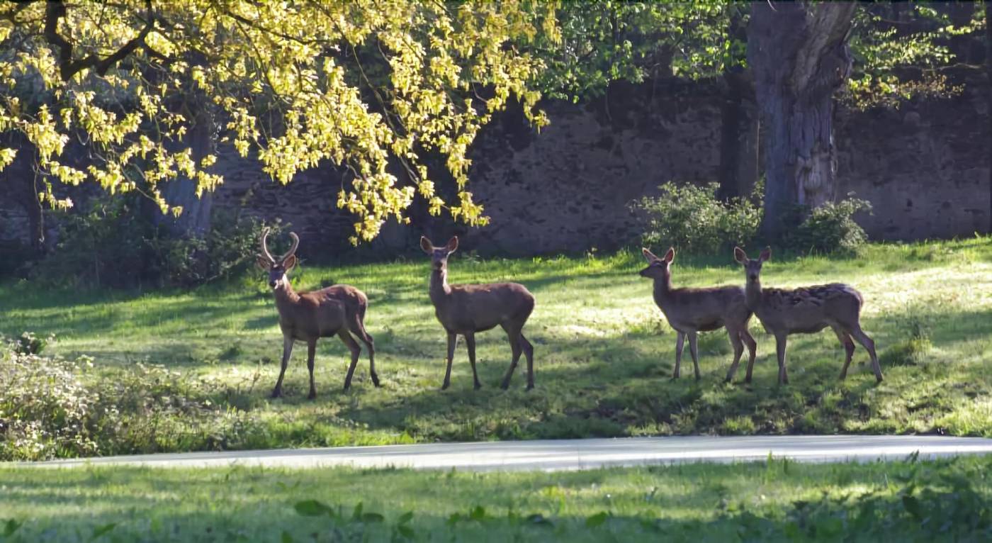 Manoir Du Perray-France-SAINT-MARS-DU-DESERT-General view-7