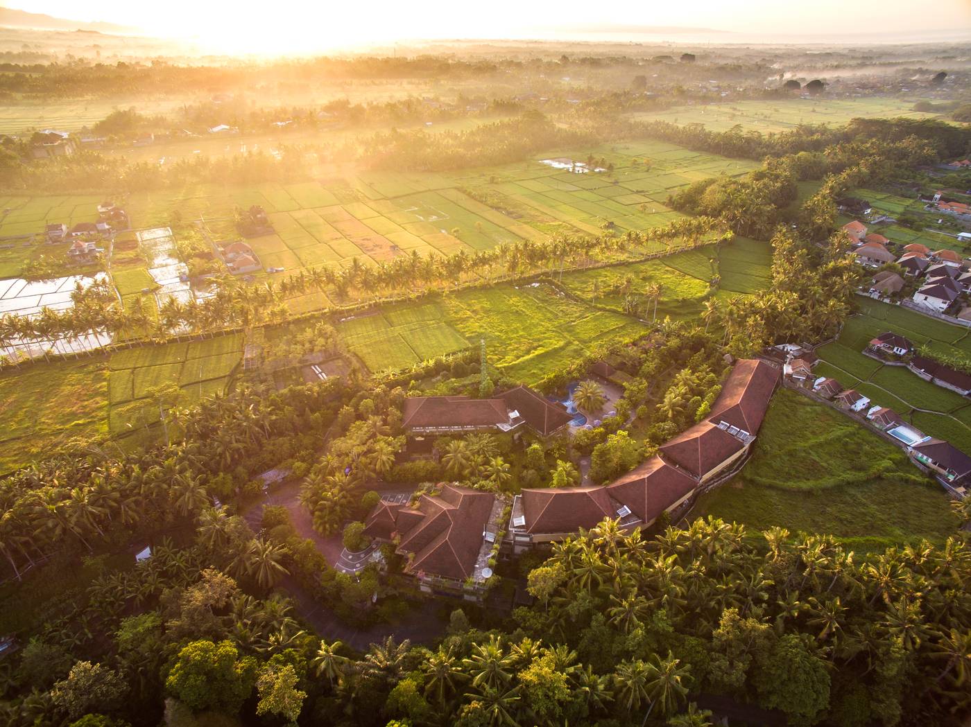 Bhuwana Ubud Hotel and Farming-Indonesia-UBUD-General view-6
