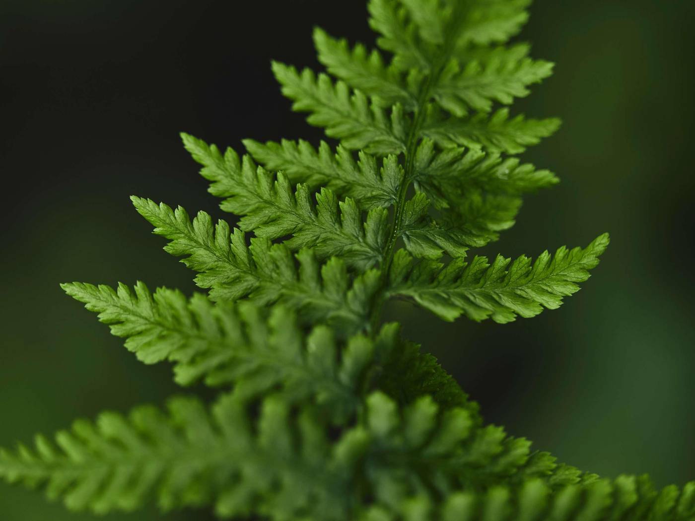 Fairmont-Waterfront-General-view-68