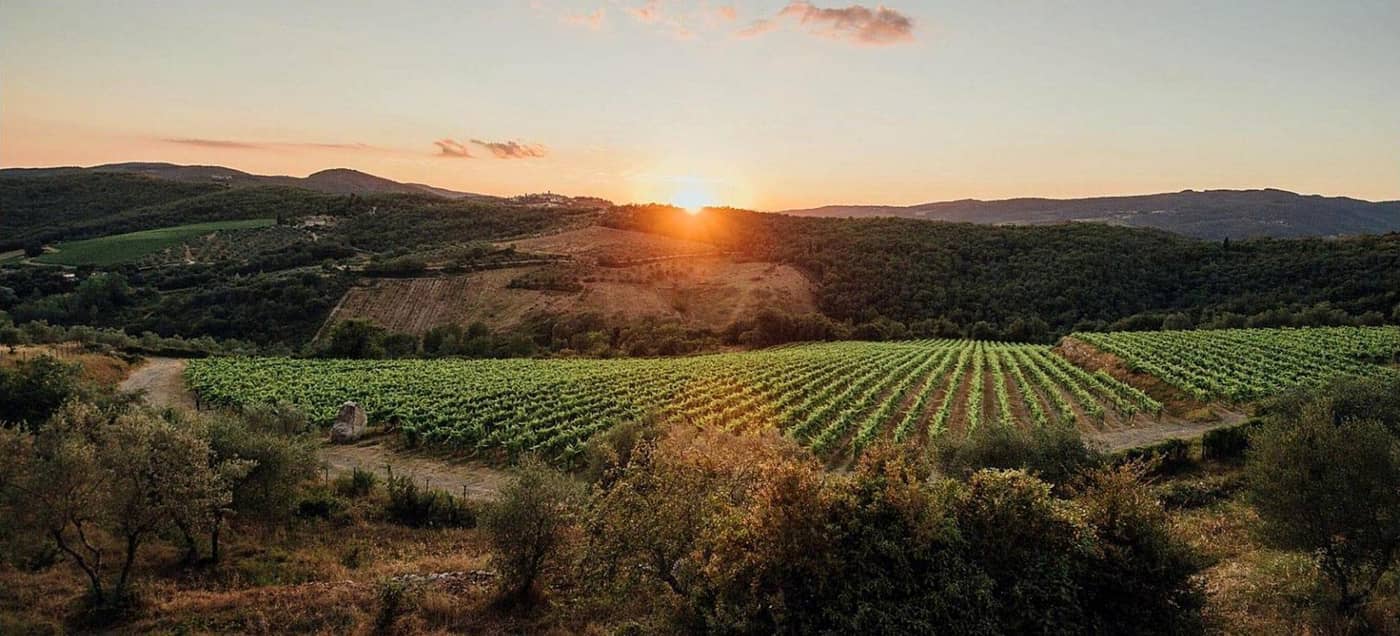 Villa-Vistarenni-General-view-55