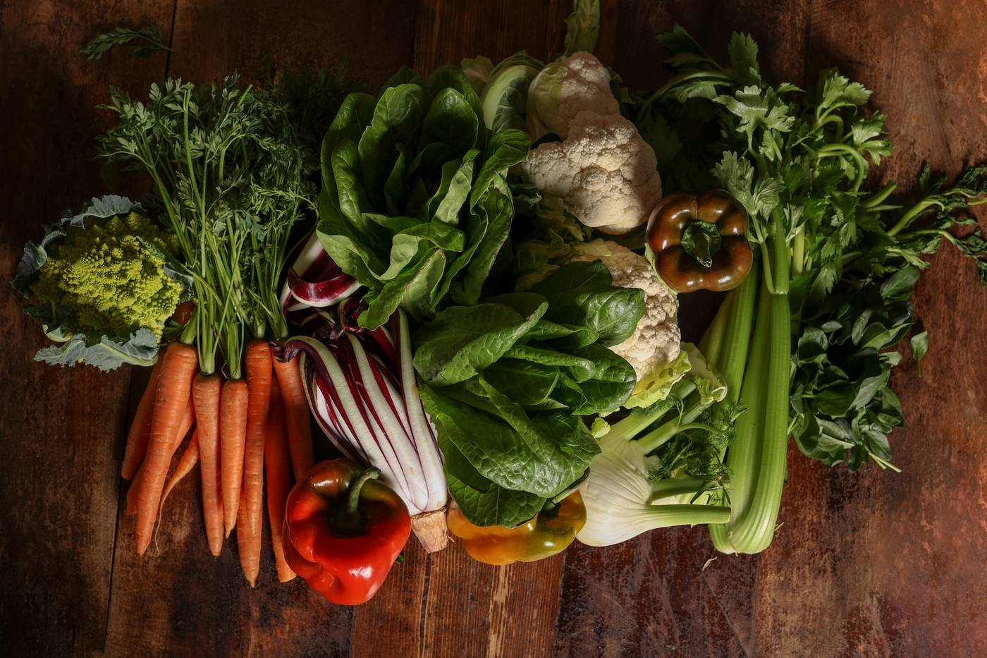 Plaza-Mestre-Restaurant-52