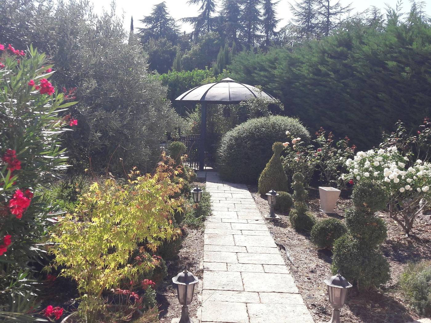 Villa Angel-France-CAUNES-MINERVOIS-General view-3