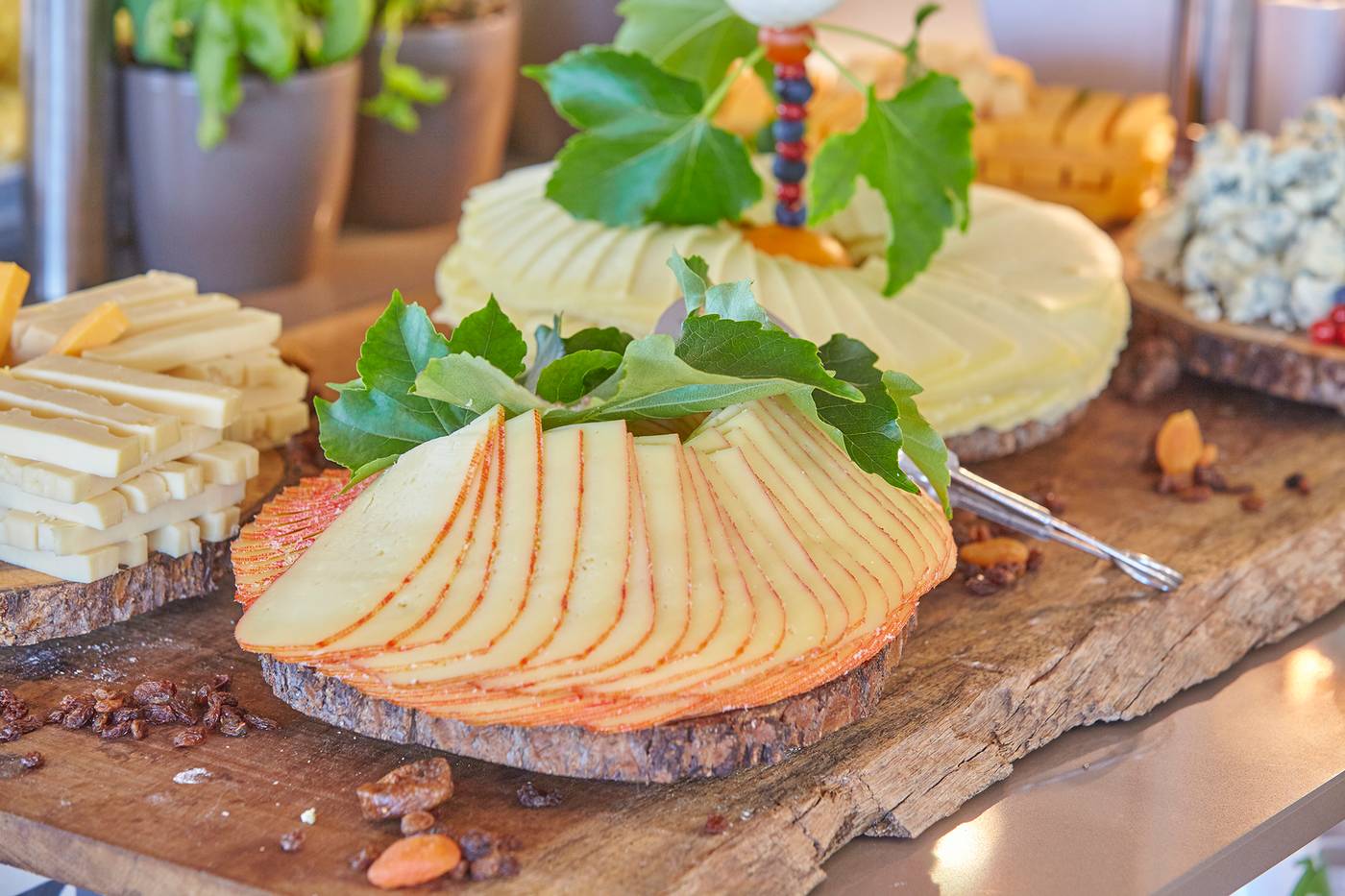 Prinsotel-la-Caleta-Apts--Restaurant-36