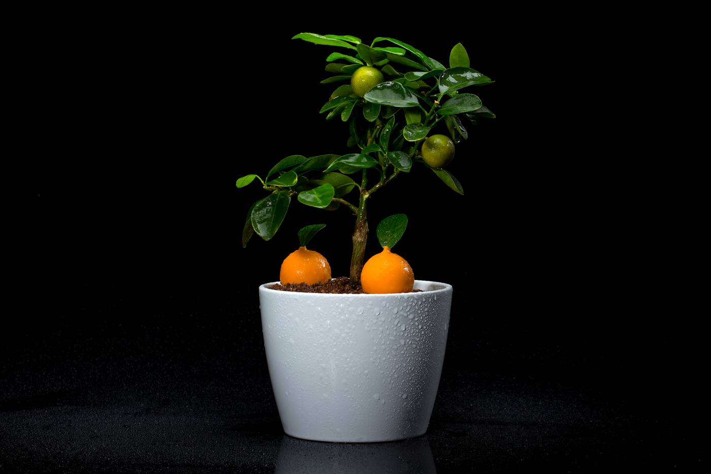 Bela-Vista---Adults-Only-Restaurant-42