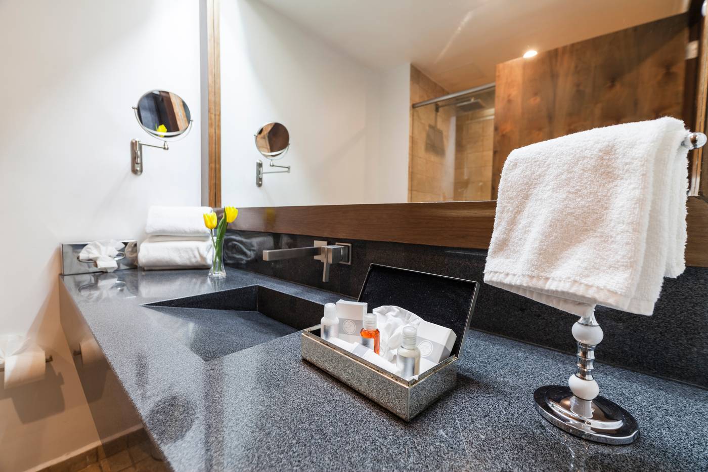 Suites del Angel-Mexico-MEXICO D.F.-Room-8