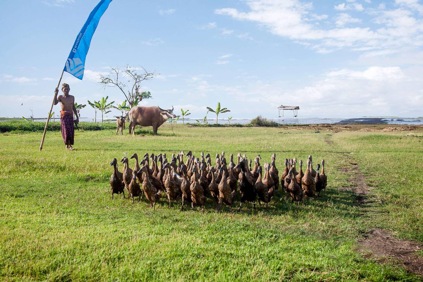 Wyndham Tamansari Jivva Resort-Indonesia-KLUNGKUNG-General view-3